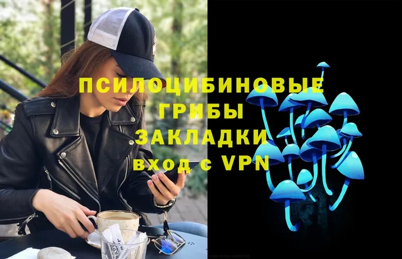 магазин  наркотиков  Уссурийск  мега как войти  Галлюциногенные грибы Psilocybe 